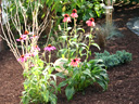 Pflanzarbeiten in Beet