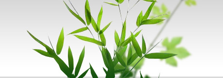 Klose Gartenbau & Planung